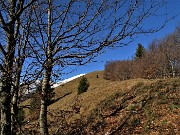 25 Prendiamo a dx sentierino  variante in cresta del sent. 101 per cima Baciamorti